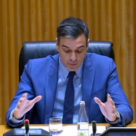 Pedro Sánchez: "La ley ha tenido algunos efectos indeseados, y me quedo corto"