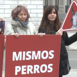 Una veintena de animalistas protestan frente al Congreso contra la Ley de Bienestar Animal   