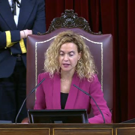 Sale adelante la ley de Bienestar Animal tras ceder Unidas Podemos con los perros de caza