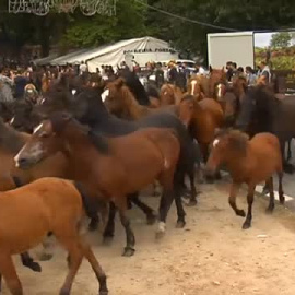 Eólica sí, pero no así. El debate de las renovables a cualquier precio