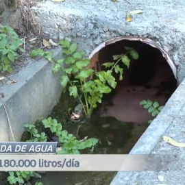 Derrochamos el agua que no tenemos 