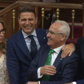 El Betis, en el Congreso de los Diputados