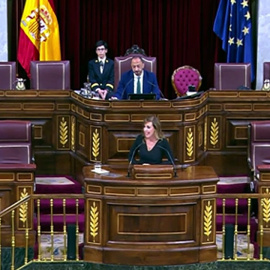 La Presidencia del Congreso retira la palabra a una diputada de Vox por sus insultos
