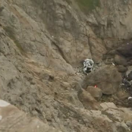 Rescatan a una familia tras caer con su coche por un acantilado en California   