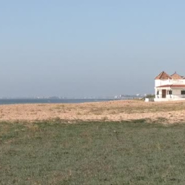 Insólita imagen de una playa de Huelva plagada de hierba
