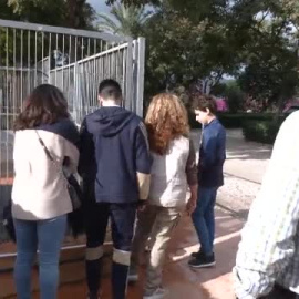 Pedir una mascota a los Reyes Magos no debe ser un capricho