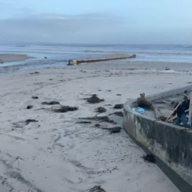 Al menos dos muertos por las tormentas en la Costa Oeste de Estados Unidos