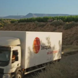 Agricultores mallorquines piden que se limiten los campos de placas solares en tierras cultivables