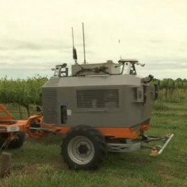 "Bravo Two": el robot de los viñedos australianos