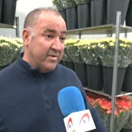 El sector de la flor cortada trabaja sin descanso para la campaña de San Valentín