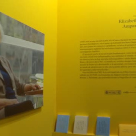 Arte basado en la ciencia en ARCO, de la mano del Centro Nacional de Investigaciones Oncológicas