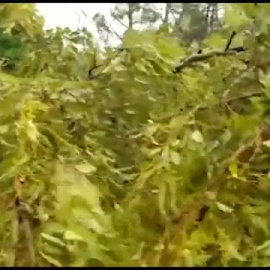 El ciclón Freddy azota Mozambique