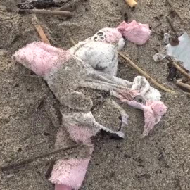 Críticas a la política migratoria de Meloni tras el trágico naufragio en Calabria