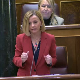 Grande-Marlaska asegura que se enteró por la prensa del caso Mediador