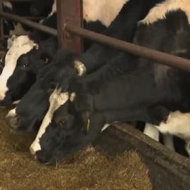 Un hombre con discapacidad logra trabajar gracias a su nueva silla de ruedas