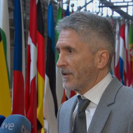 Marlaska habla de "pérdida de confianza" en el jefe de la Guardia Civil de Santa Cruz de Tenerife cesado