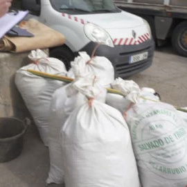 Completado con éxito el traslado de un elefante del Zoo de Madrid al Parque Selwo de Estepona