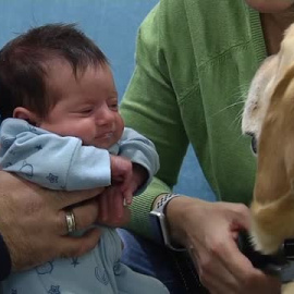 Un perro guía entra por primera vez en una unidad de neonatos