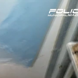 Media tonelada de carne podrida en Usera