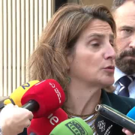 Ribera: "Hay que introducir un límite de renta" para cobrar el bono de familias numerosas
