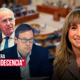 Los tres pies al gato | 'Aves de rapiña', por Ana Pardo de Vera