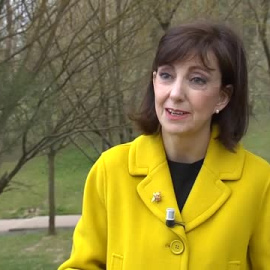 La procesionaria regresa con la primavera y obliga a extremar la vigilancia con perros y niños