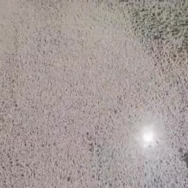 Millones de peces muertos por el calor bloquean un río de Australia