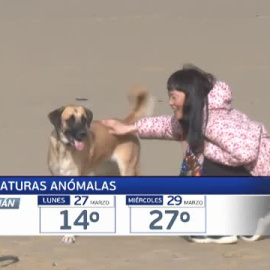 Primavera de abanino 