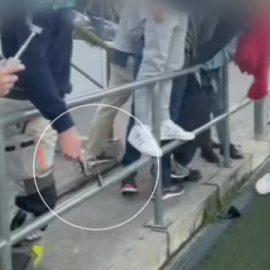 La mujer que irrumpió armada en un partido infantil en Madrid es la viuda de un hombre asesinado a tiros en Marbella 