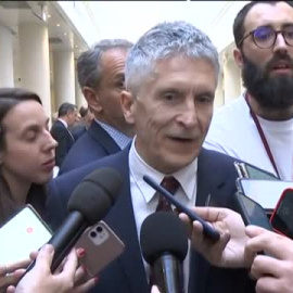 Grande-Marlaska se reafirma en la pérdida de confianza en Martínez de los Cobos, pese a la decisión del Supremo    