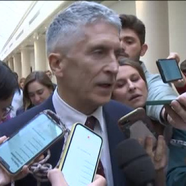 Grande-Marlaska sobre la detención de Clara Ponsatí: "se adoptarán las medidas necesarias conforme al criterio de la autoridad judicial"