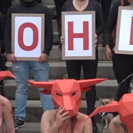 Colombia estudia prohibir la tauromaquia