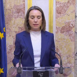 Gamarra cree que la gestación subrogada es algo "complejo" que merece "debates profundos y serenos"