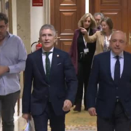 La sentencia que anula la destitución de Pérez de los Cobos: "Informar a Interior estaba expresamente prohibido"