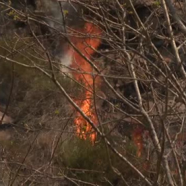 Bomberos de Navarra logran controlar un incendio en el valle de Baztan