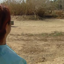 Este miércoles echa a andar en el Parlamento andaluz la tramitación de la ley para legalizar cultivos de regadío próximos a Doñana