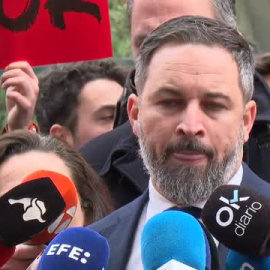 VOX recurre ante el Tribunal Constitucional la Ley de Memoria Democrática  