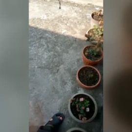 Se estrella en Nepal un avión con 72 personas a bordo