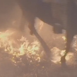 San Bartolomé de Pinares recupera sus reconocidas "luminarias" 