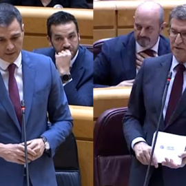 El cara a cara entre Sánchez y Feijóo en el Senado, en imágenes