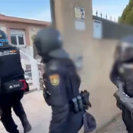 Desarticulada una organización criminal que trasladaba cocaína oculta en maceteros