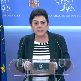 Bildu y ERC frenan la "reforma light" de la ley mordaza