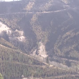 La lluvia y el cambio de viento permiten controlar los incendios de Asturias 