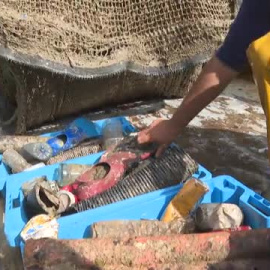 Los pescadores catalanes recogieron 70.000 litros de basura en el Mediterráneo en solo un año