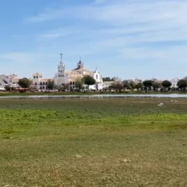 La ministra Ribera visita las zonas más sensibles del parque de Doñana