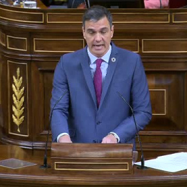 Sánchez anuncia la financiación de 43.000 viviendas destinadas a alquiler social o asequible