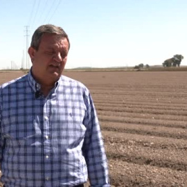 La sequía afecta a más del 60% de los agricultores 