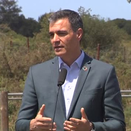 Sánchez pide a la Junta desde Doñana que "rectifique" y que vuelva "a la legalidad europea" 