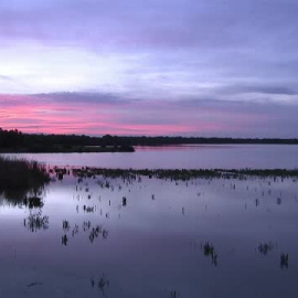 Sánchez y Feijóo coinciden en Huelva en plena guerra por el plan de regadíos de Doñana