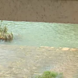 La sequía golpea con fuerza al campo: "Este año nos quedamos sin cosecha y el que viene, también"
